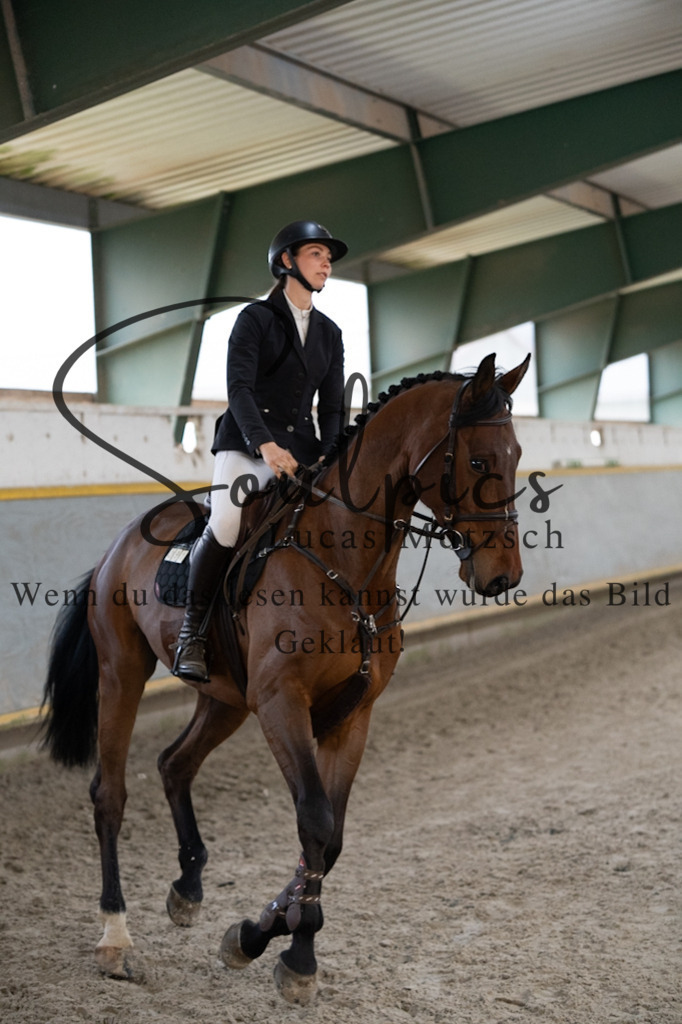 A7V08585 | Pferdefotograf