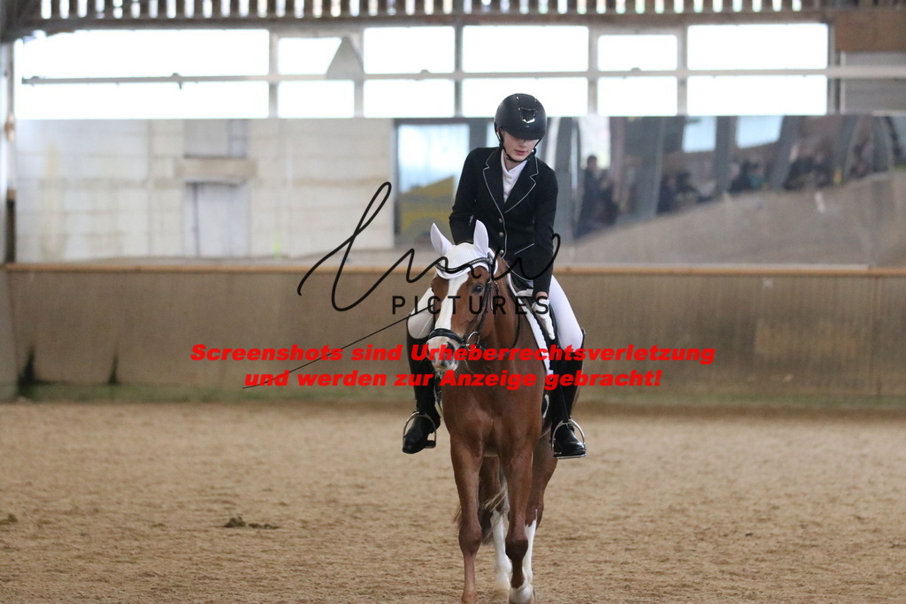 IMG_3836 | lmwpictures - Realisiert mit Pictrs.com