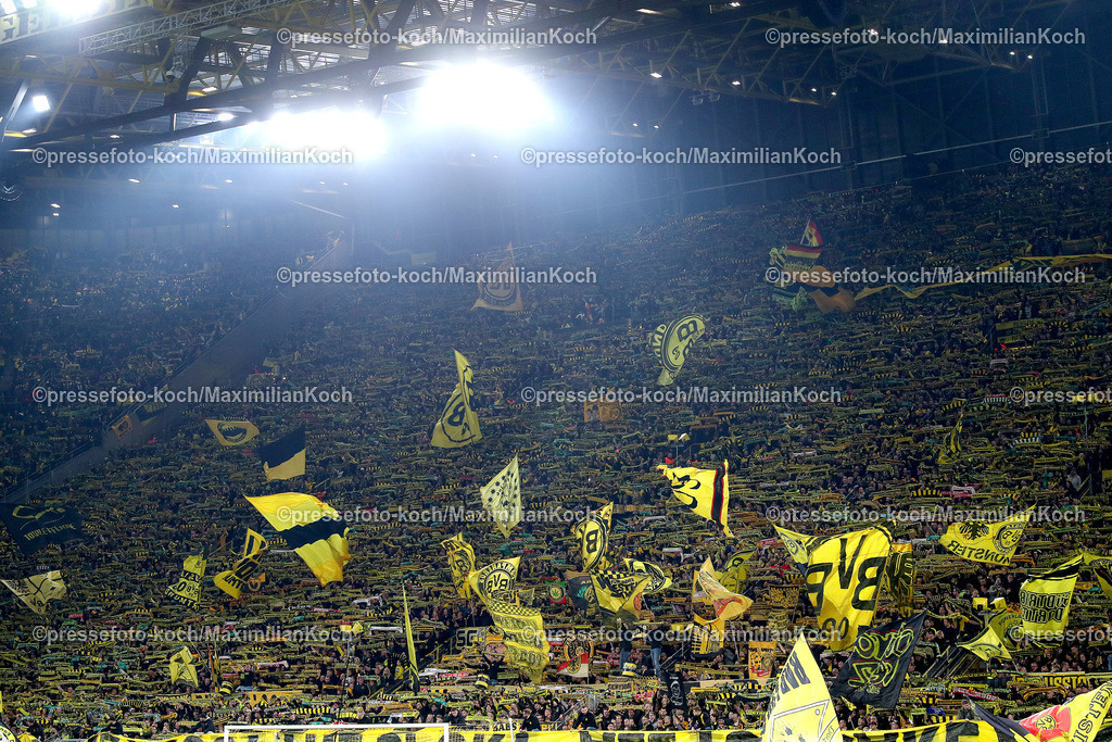 BVB01102402135 | 01.10.2024, Fußball, UEFA Champions League, Borussia Dortmund - Celtic Glasgow, 2. Spieltag, Signal Iduna Park, Saison 2024 2025: Die dortmunder Gelbe Wand Fans Fan BVBFans Ultras
