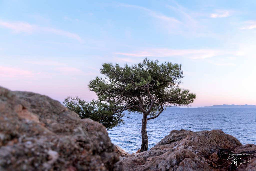 Cap Nègre (Cavaliere, Le Lavandou) | Herzlich willkommen auf meiner Seite! Ich bin Elke Wallnisch, Deine Fotografin für lichtstarke Momente. Der Name steht für alles, was mich mit der Fotografie verbindet: Das Licht und seine machtvolle Wirkung auf eine Situation oder unsere Stimmung - Realisiert mit Pictrs.com