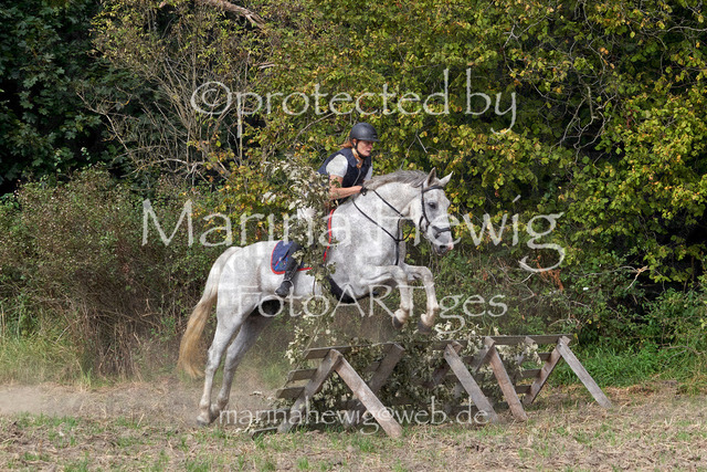 09-23 Jagd Perdöl_MCH9758_Marina Hewig | Fotografie, FotoArt, PferdesportArt, Pferdesportfotografie, Landschaftsfotografie, Reisefotografie, Reise, Pferde - Realisiert mit Pictrs.com