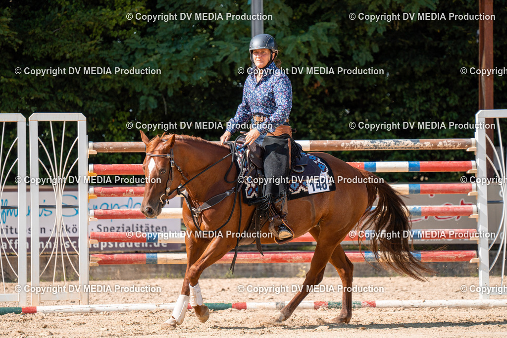 ZH100262 | dv-media-shop - Realisiert mit Pictrs.com