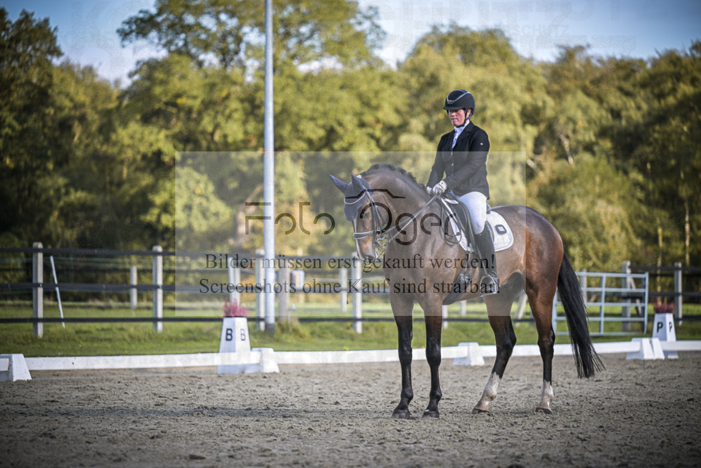 DOS_4845 | Entdecke hochwertige Reitturnierfotos von Foto Oger. Professionell, emotional und authentisch – jetzt Lieblingsmomente im Shop bestellen.Deutschlandweite Turnierfotografie. - Realisiert mit Pictrs.com