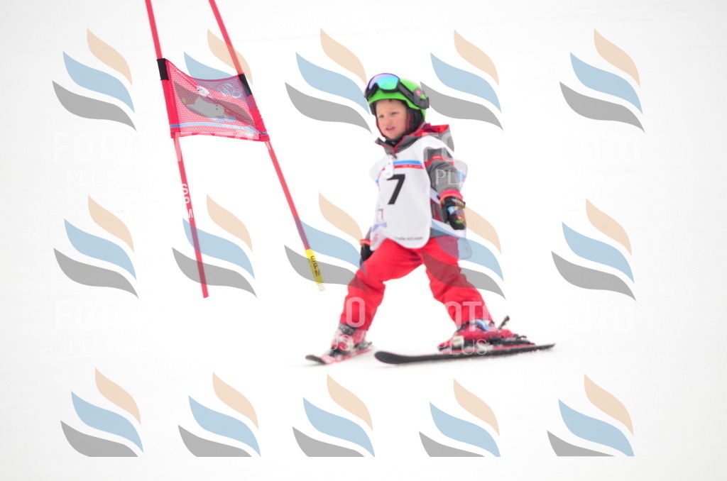 B8950 | holidayphoto