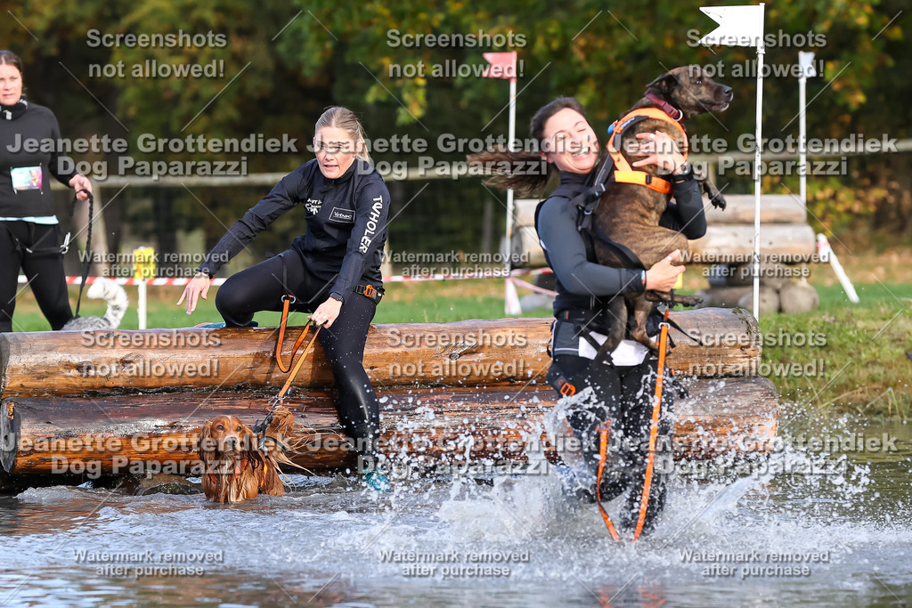 Dog Paparazzi - Strongdog 10-25-8253 | Dog Paparazzi Jeanette Grottendiek Fotografie & Videografie - Realisiert mit Pictrs.com