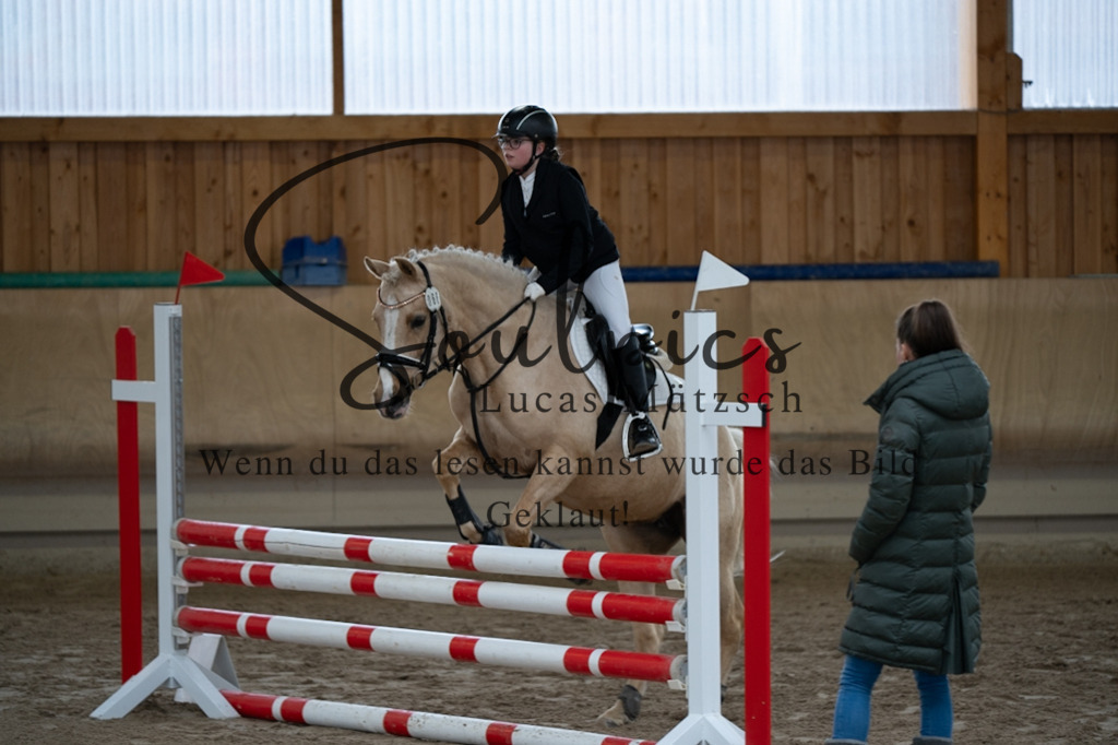 A7V00163 | Pferdefotograf