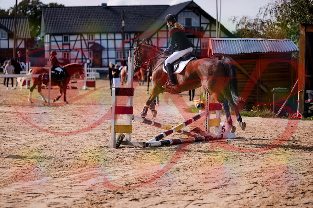 2026_10_03_Siefer-Hof_143535_Z81_04322509 | Professionelle Reitsport-, Turnier- und Eventfotografie von Robert Broda. Galerien mit ausgewählten und bearbeiteten Bildern direkt online ansehen und bestellen.