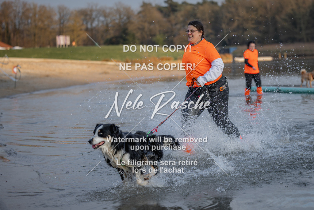 nelerasche_Hulsbeek_Sa1730-Ende_366 | nelerasche
