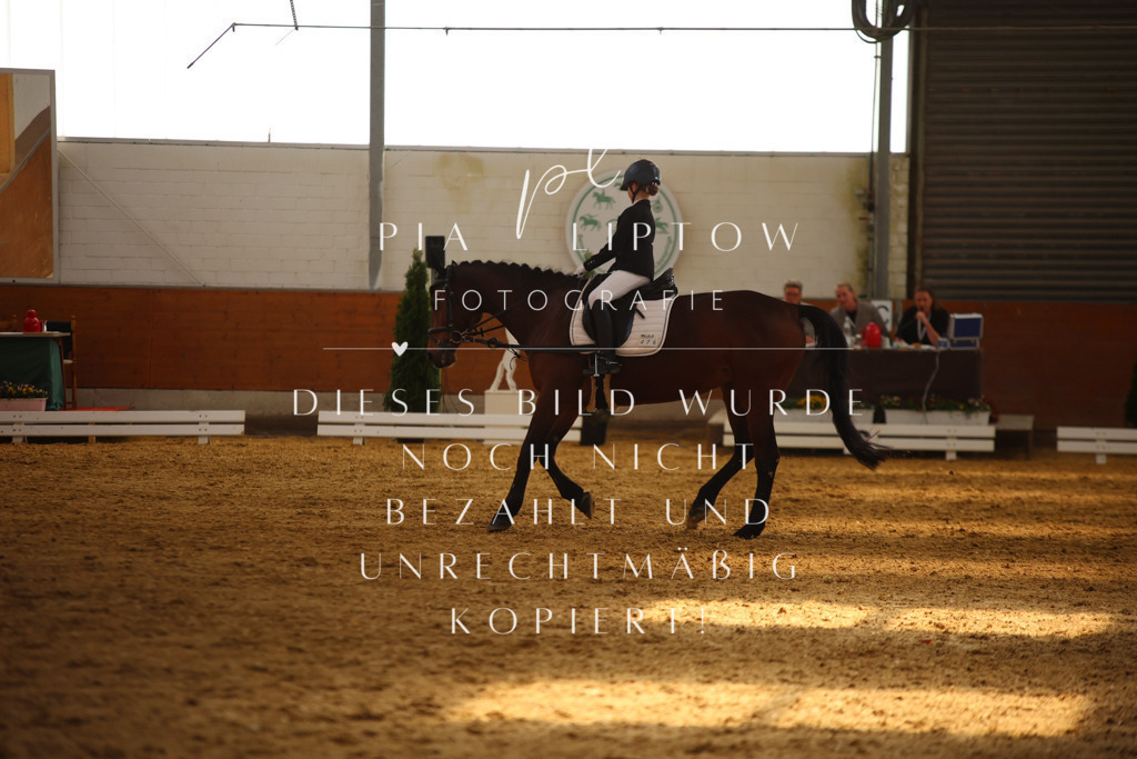 IMGT0881 | pl-fotografie