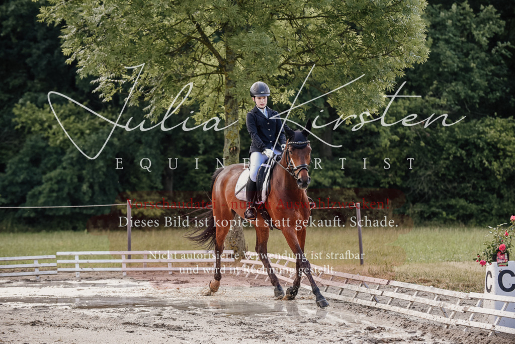 DSC_8033 | Pferde- und Turnierfotografie in Westsachsen. Pferdeportraits, Auftragszeichnungen und intuitive Kunst.