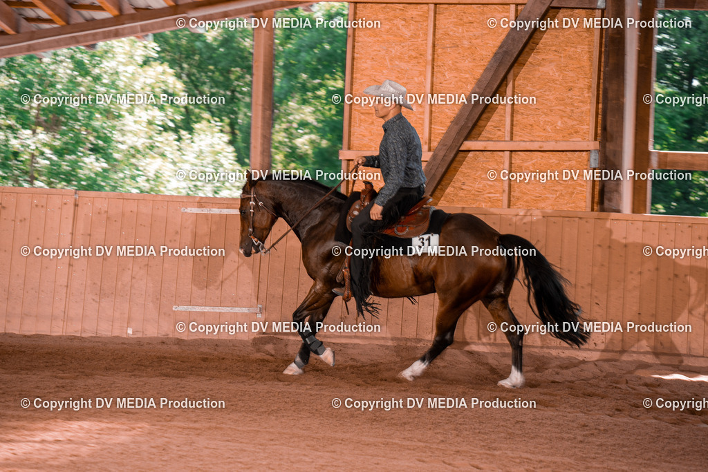 NE300316 | dv-media-shop - Realisiert mit Pictrs.com