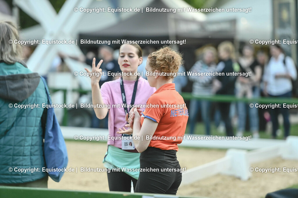 D78_3353 | equistock