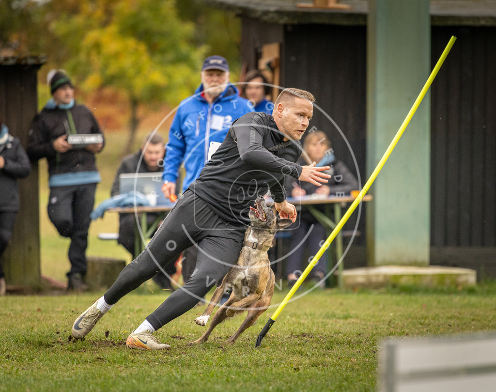 Pfotenfotografie_DV3A6920 | Hundefotografie, Tierfotograf, Pfotenfotografie, Fotoshooting Hund, Hunde Portrait, Hundesport, Hundeportraits, Heideshooting, Hunde, Sportfotograf, Hundefotograf, Turnierhundsport, THS,  - Realisiert mit Pictrs.com