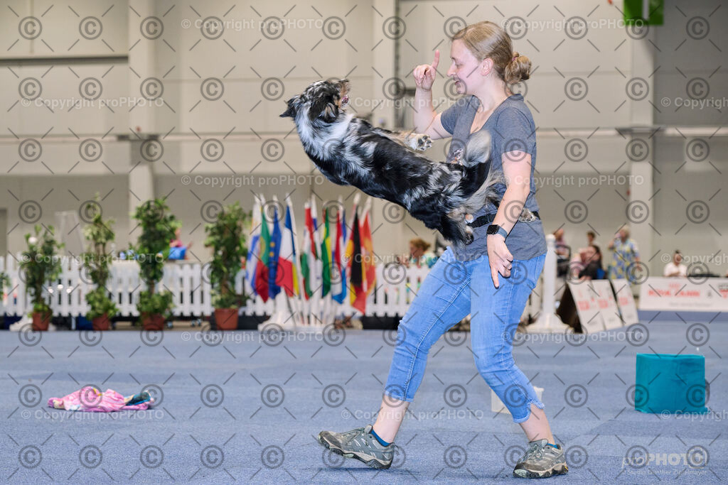 202406_ÖKV-IHA-Tulln24_NZ9_7708 | proPHOTO - Realisiert mit Pictrs.com