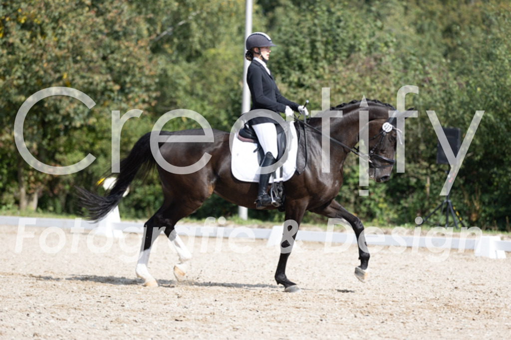 IMG_3499 | Creatify Fotografie