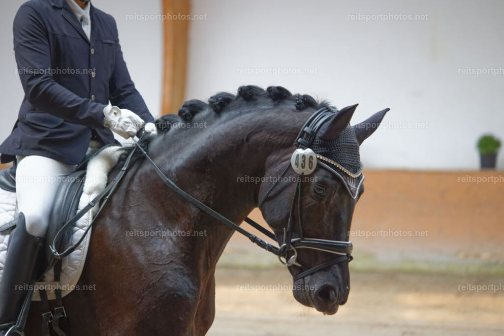 JHE_1089 | JoYa Fotografie - Realisiert mit Pictrs.com