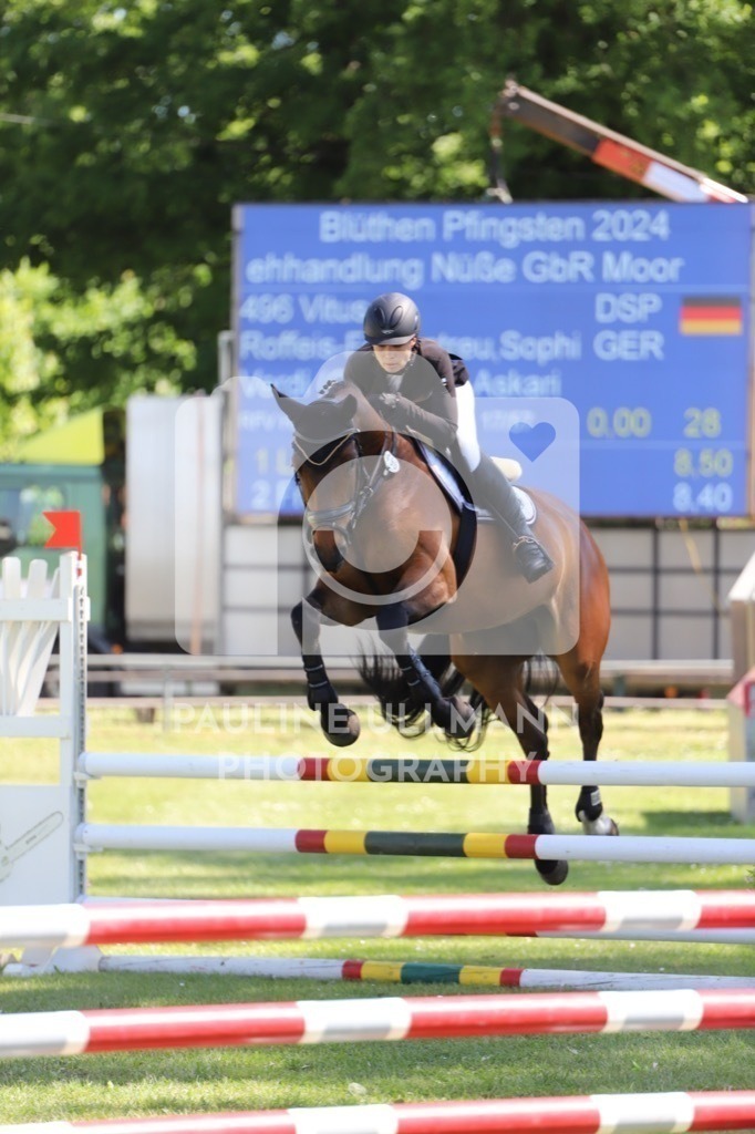 IMG_6136 | Pauline Ullmann Photography - Realisiert mit Pictrs.com