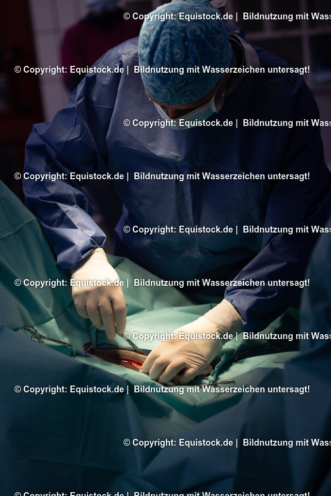 20191022_Kolik_OP_0020 | equistock