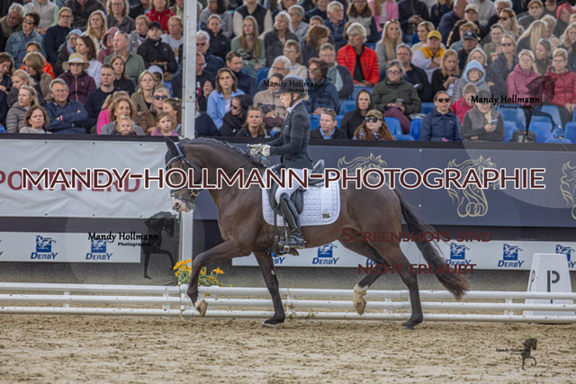 RPF 4j H (811 von 1519) | mandyhollmannphotographie