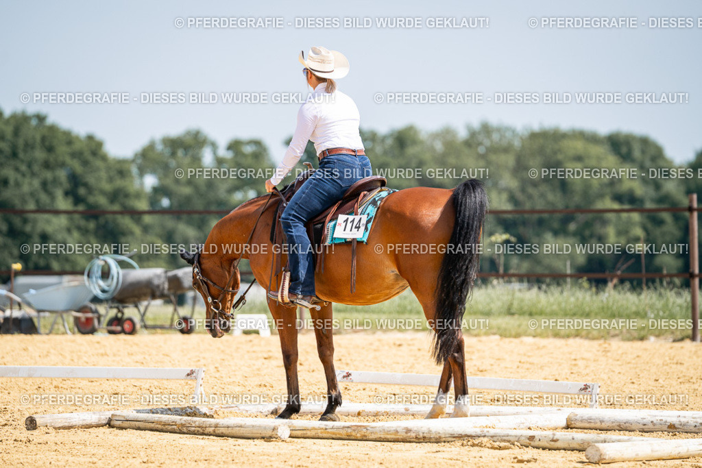 DSC00413 | Pferdegrafie