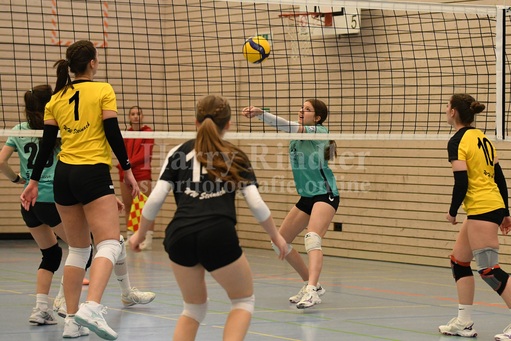 TSV Deggendorf Damen  : FC Ruderting | TSV Deggendorf Damen Volleyball - Realisiert mit Pictrs.com