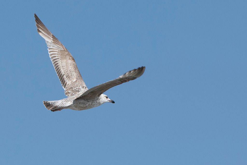 3A0A0641 | codoma - Realisiert mit Pictrs.com