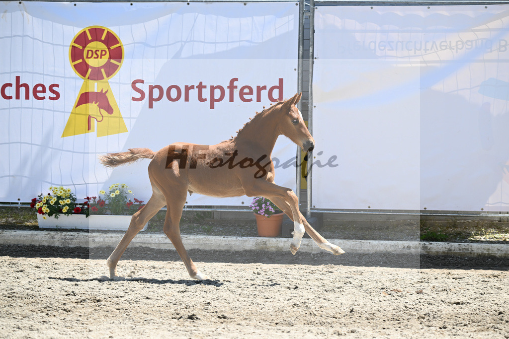 Kat-Nr. 28 SF Vaderland_ZG Weinmann_12230699 | hf-fotografie - Realizzato con Pictrs.com