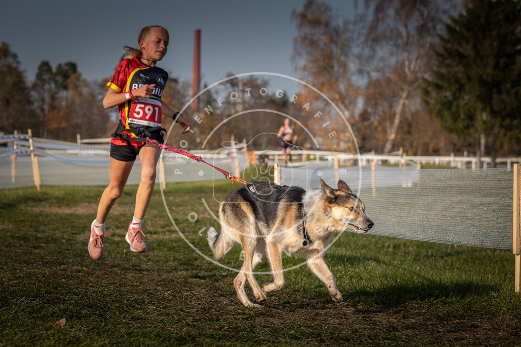 CaniXpix_0L8A9850 | Hundefotografie, Tierfotograf, Pfotenfotografie, Fotoshooting Hund, Hunde Portrait, Hundesport, Hundeportraits, Heideshooting, Hunde, Sportfotograf, Hundefotograf, Turnierhundsport, THS,  - Realisiert mit Pictrs.com