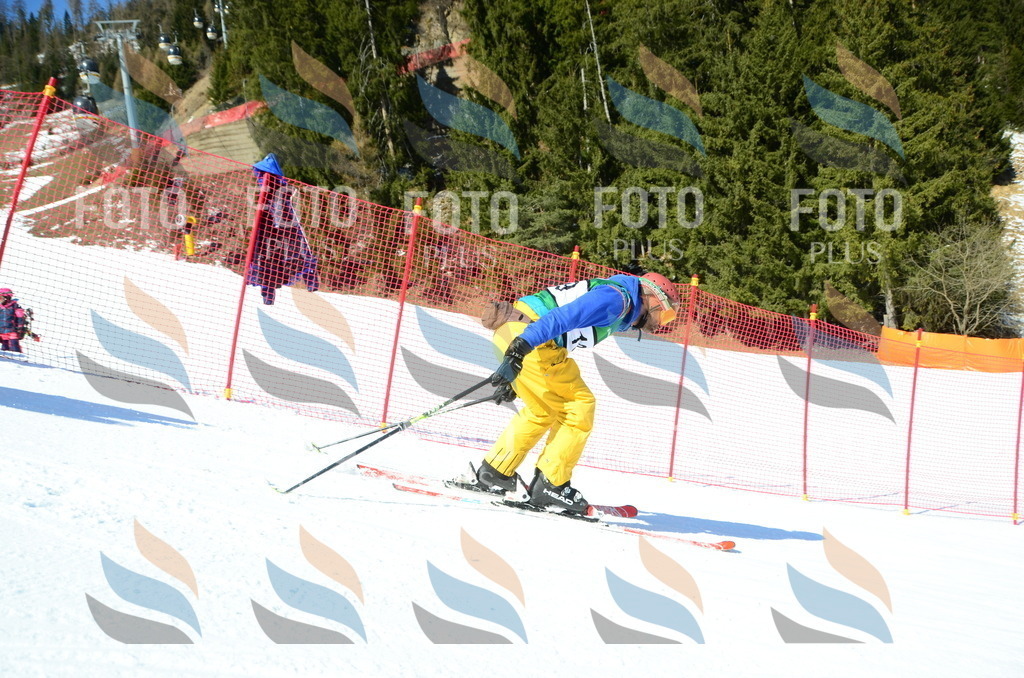 C6607 | holidayphoto