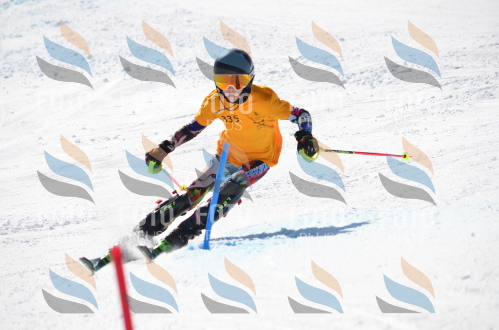 C9690 | holidayphoto