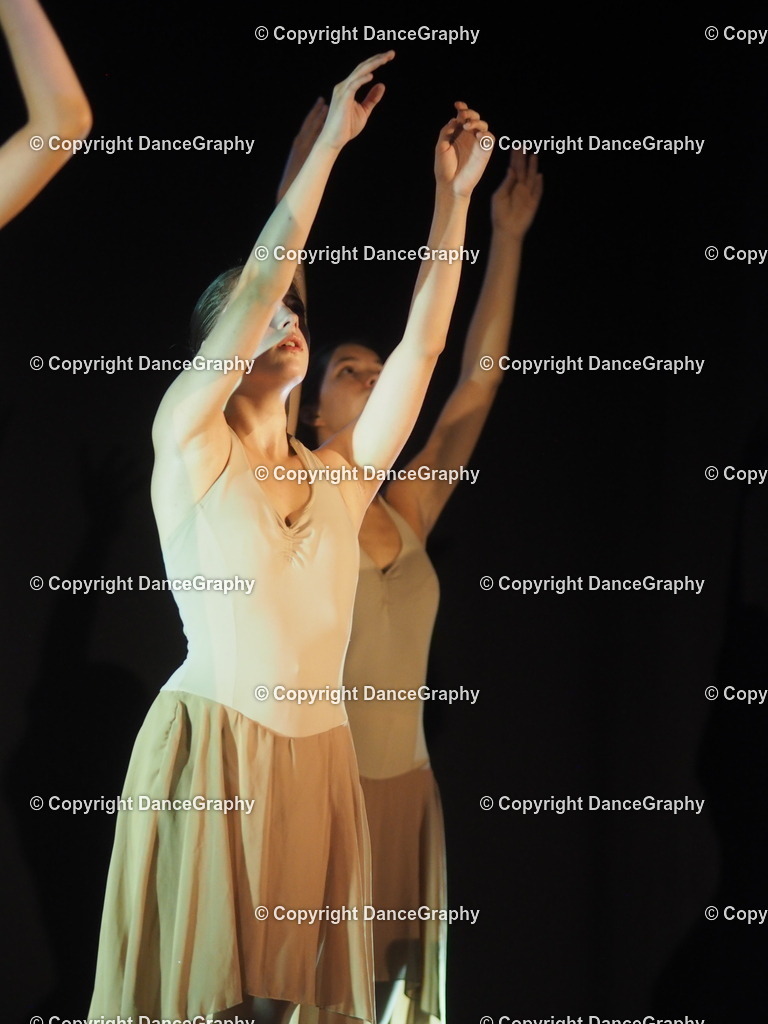 P6280084 | DanceGraphy - Realisiert mit Pictrs.com