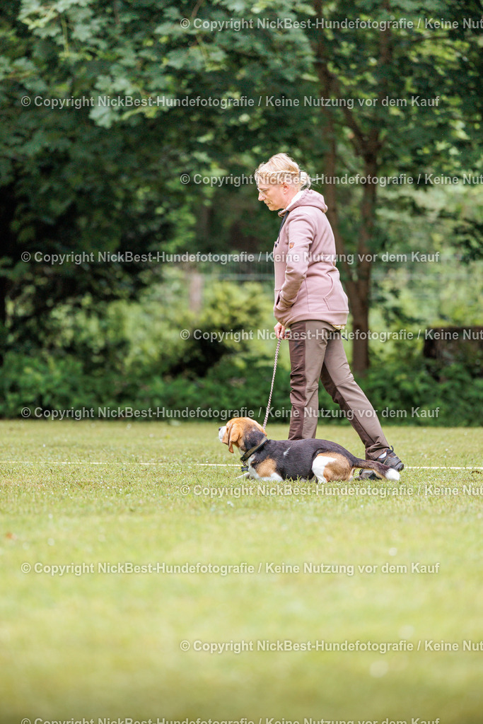 RO-Blumenthal-2026-Nickbest-Hundefotografie-4852 | Dein Hund! Dein Moment! Deine Erinnerungen! Hundefotografie in Bremen Blumenthal. Ich fange die besonderen Momente deines Vierbeiners ein – ob Indoor mit Blitzanlage oder in der freien Natur. Sicher dir dein Moment und dein Termin für eure Erinnerungen.