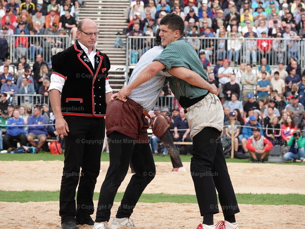 DSC08313 | Schwingen - Realisiert mit Pictrs.com