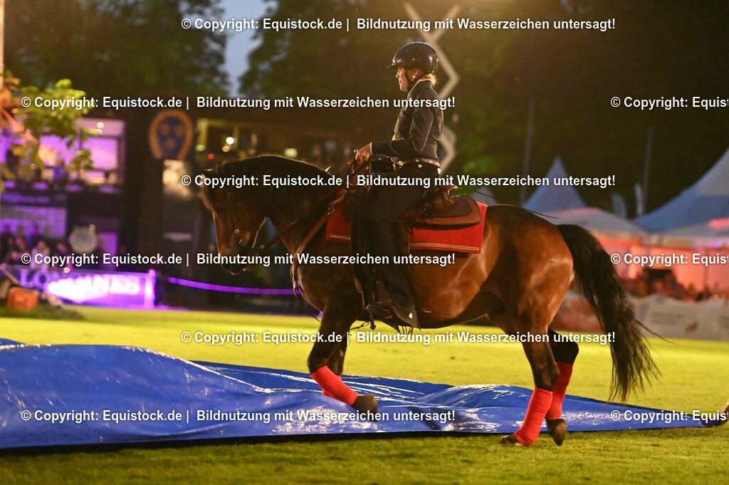 20230526_Pferdenacht_1032 | equistock