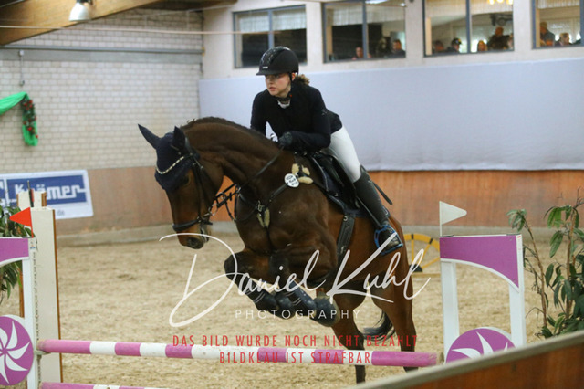 IMG_0688 | Turnierfotos kaufen im Webshop von Daniel Kuhl Photography – entdecke professionelle Reitsportfotos aus Turnieren & Events. Hochwertige Turnierbilder online bestellen & sichern. Jetzt Fotos von Reitsportturnieren kaufen!