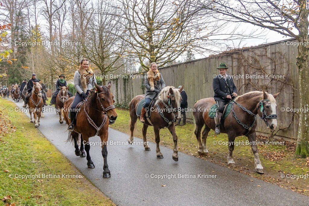LL25-247 | foto-bettina-krinner - Realisiert mit Pictrs.com