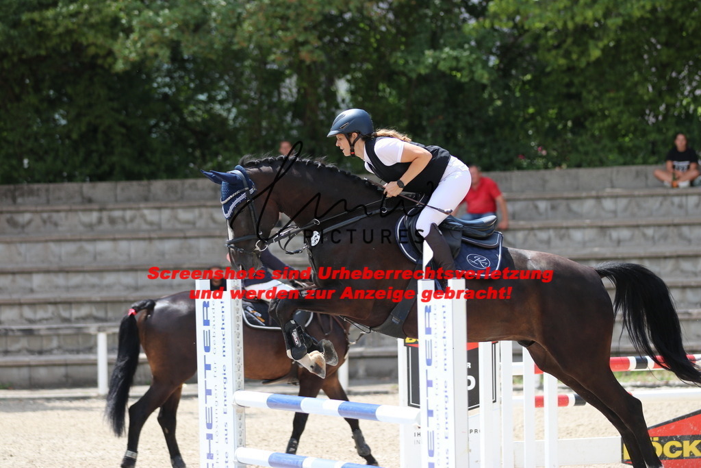 IMG_0039 | lmwpictures - Realisiert mit Pictrs.com