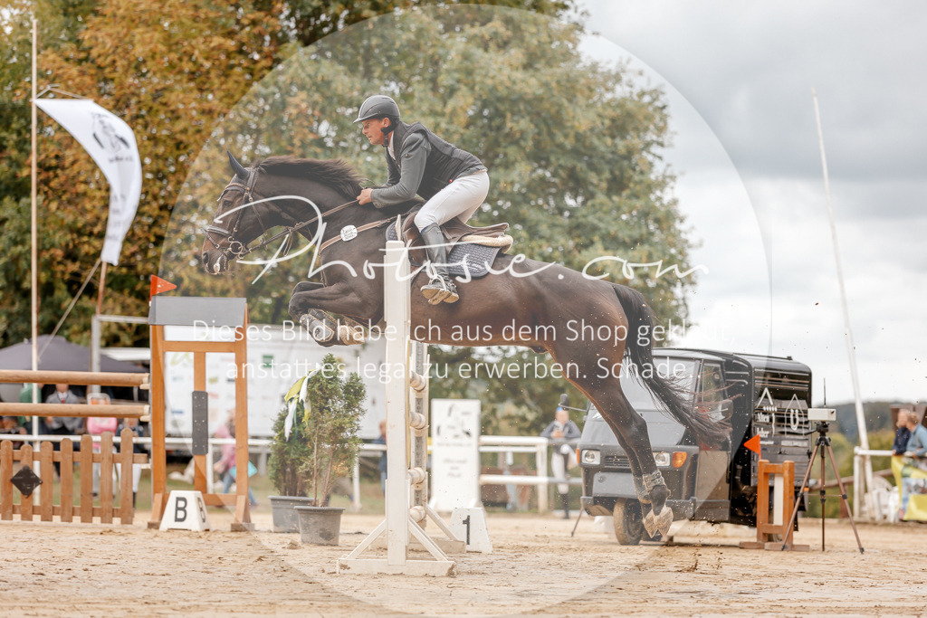 3I6A8422 | Stimmungsvolle Portraits und Reitsportfotografie im Ruhrgebiet und im Münsterland.

Pferdefotografie, Hundefotografie, Tierfotografie, Reportagen, Portraits von Tier und Mensch, Turnierfotografie in Bochum, Recklinghausen, Marl, Haltern am See, Dülmen.. - Realisiert mit Pictrs.com