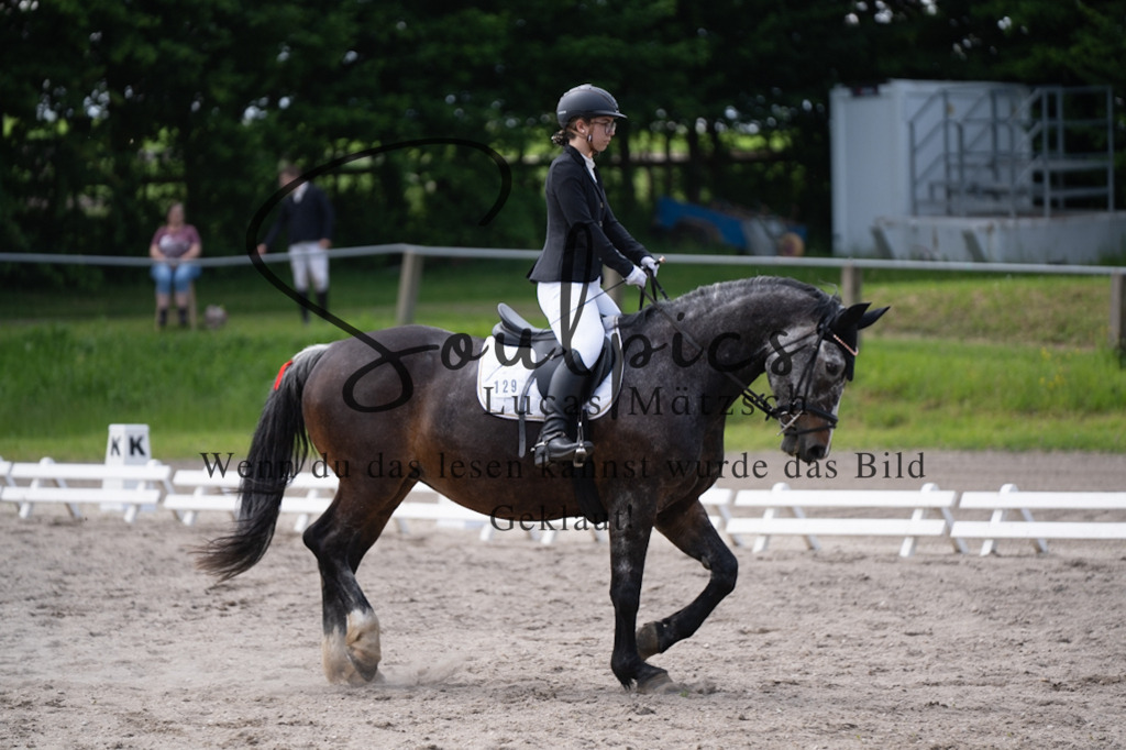 A7V02817 | Pferdefotograf