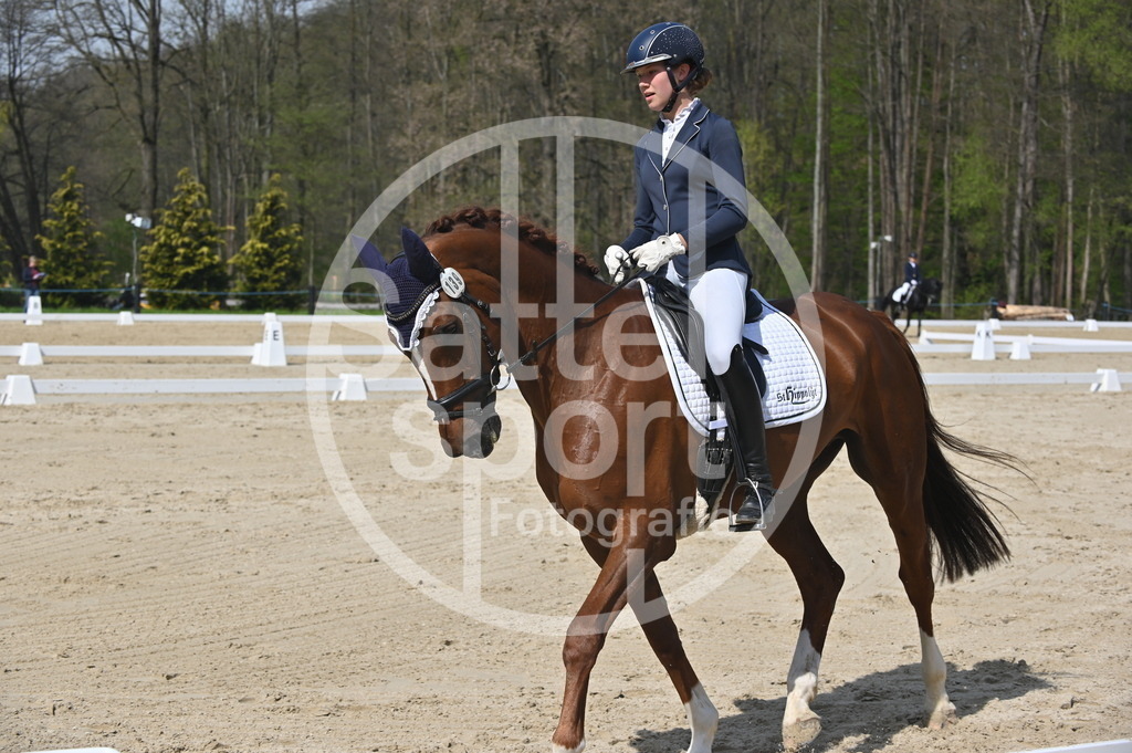 DSC_1137 | sattelsport - Realisiert mit Pictrs.com