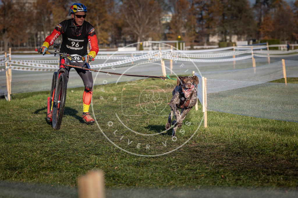 CaniXpix_0L8A4080 | Hundefotografie, Tierfotograf, Pfotenfotografie, Fotoshooting Hund, Hunde Portrait, Hundesport, Hundeportraits, Heideshooting, Hunde, Sportfotograf, Hundefotograf, Turnierhundsport, THS,  - Realisiert mit Pictrs.com