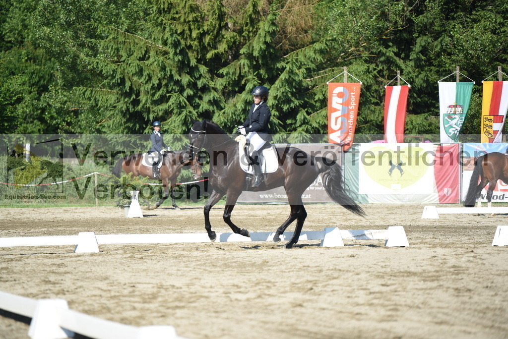 DSC_7513 | equestrian-live-com