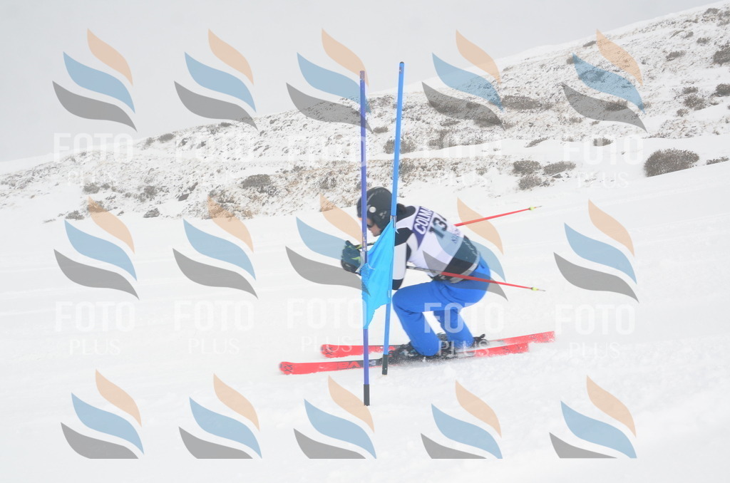 A6105 | holidayphoto