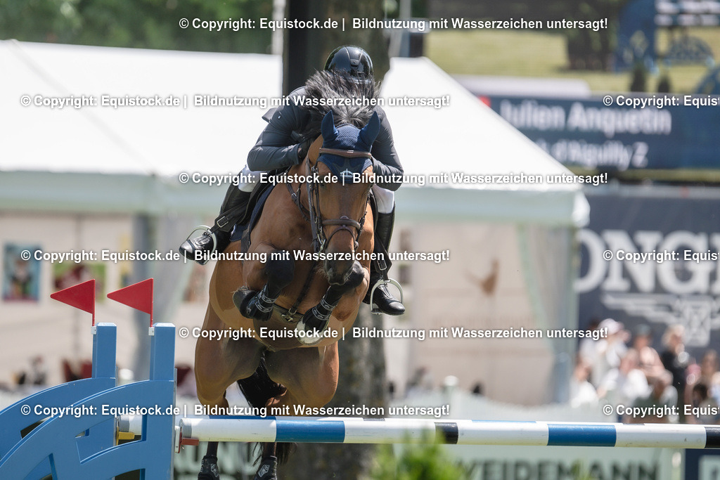 20230527_12_CSI4_Pfungstädter_0068 | equistock