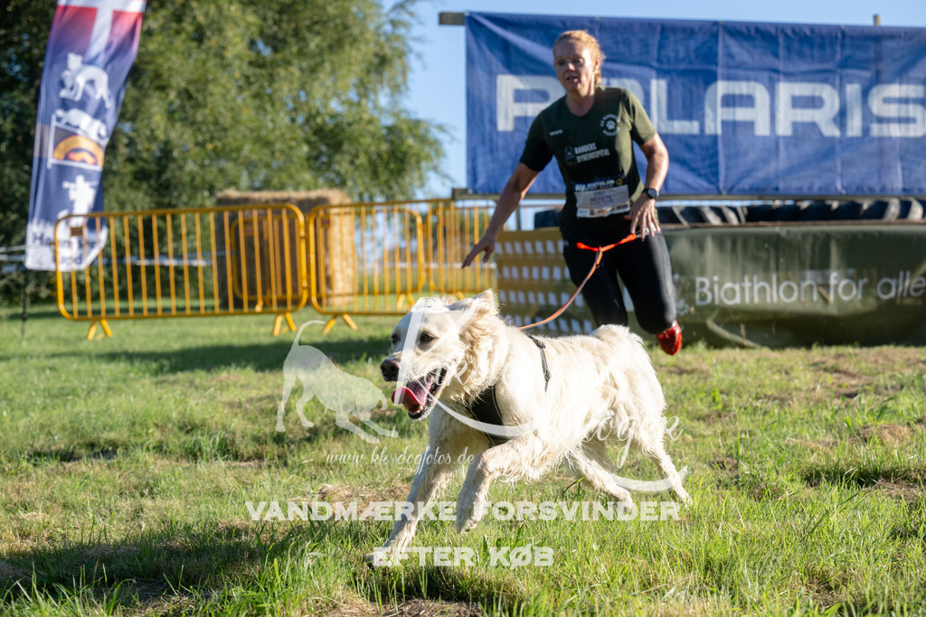 0815_ZZ92896 | kk-dogfotos