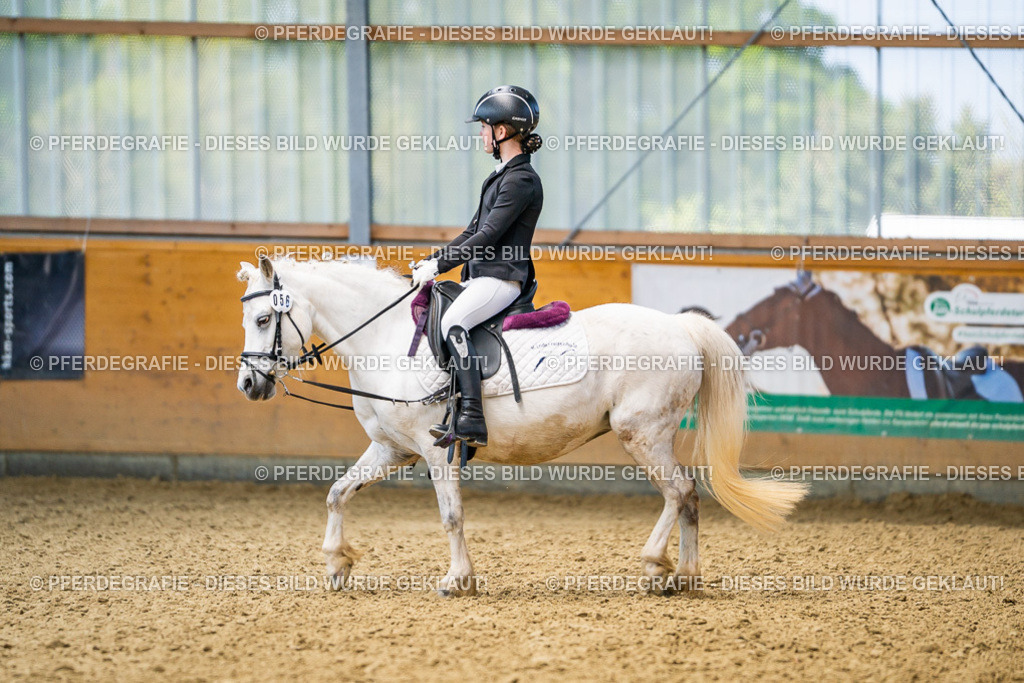 DSC02700 | Pferdegrafie