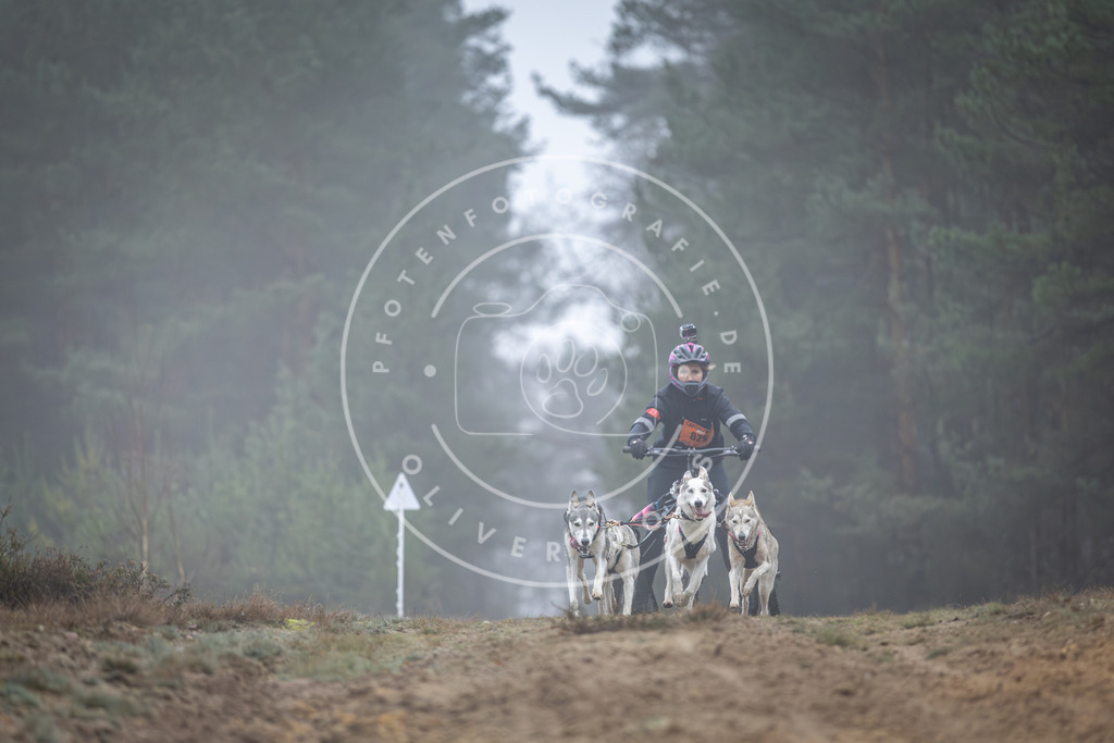 Pfotenfotografie_DV3A0604 | Hundefotografie, Tierfotograf, Pfotenfotografie, Fotoshooting Hund, Hunde Portrait, Hundesport, Hundeportraits, Heideshooting, Hunde, Sportfotograf, Hundefotograf, Turnierhundsport, THS,  - Realisiert mit Pictrs.com