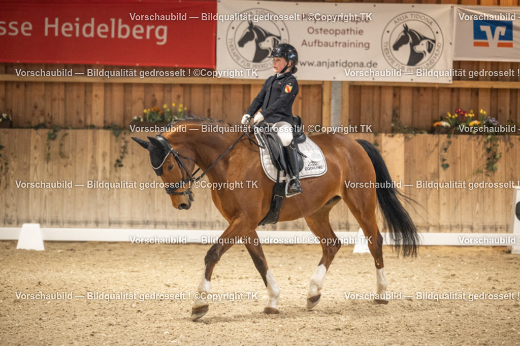 _D5A9979 | Emotionale Pferde- & People-Fotografie rund um Heidelberg, Leimen & Umgebung. Natürliche Fotos von Pferd, Mensch & Familie. Jetzt Termin sichern!