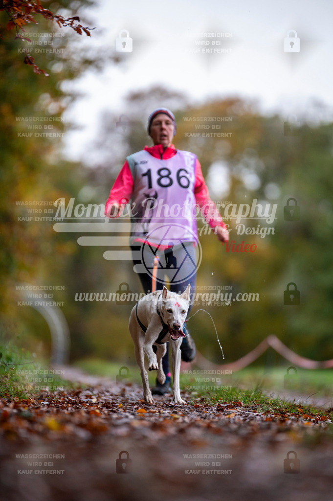 DBT_DAKM_SA_4_11_2023_Canicross-30 | PayLife