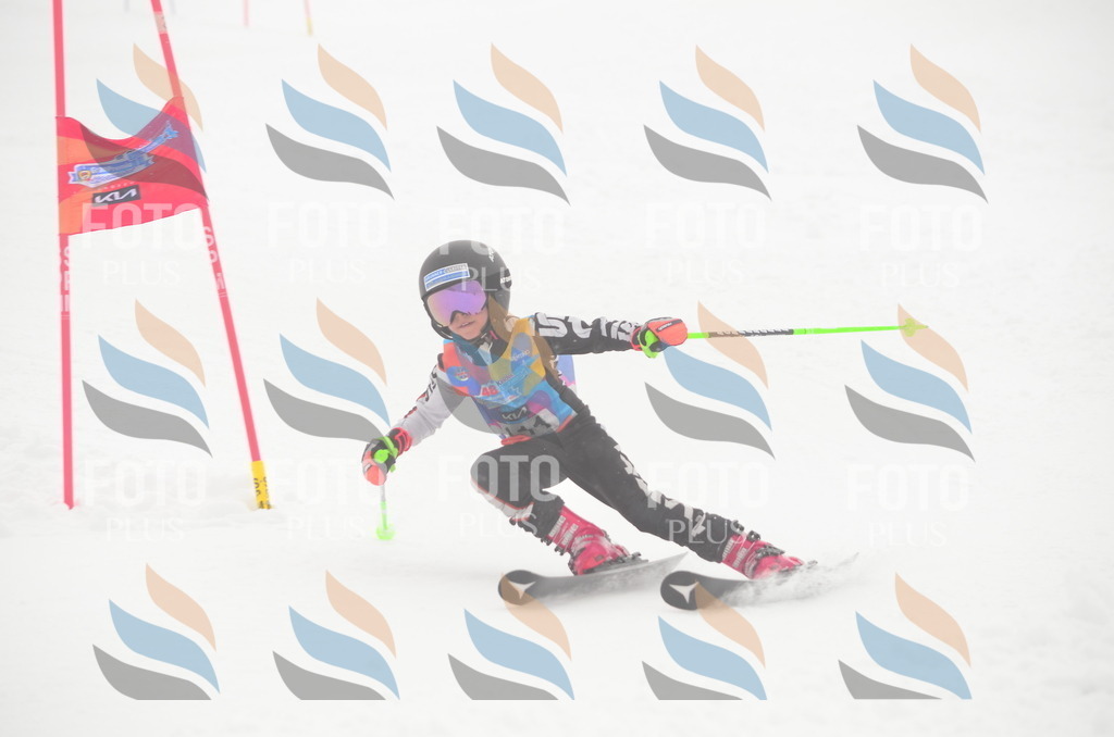 C1477 | holidayphoto